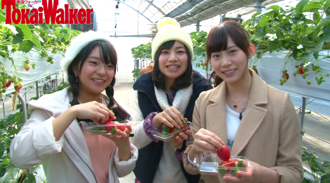 SKE48 × 東海ウォーカー 「SKE48のアルイテラブル！」 レポート編 第15回の動画が公開