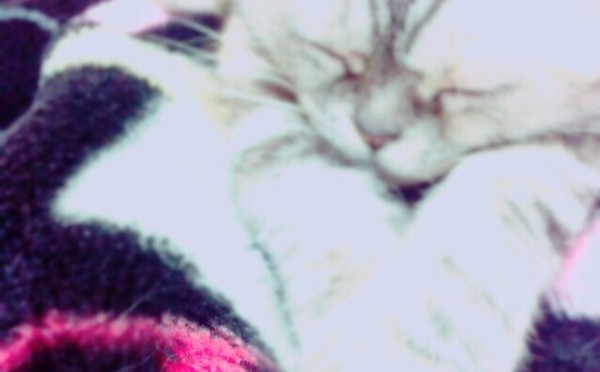 SKE48公式ブログ – →「頑張ってね」と「頑張ってるね」るが入るだけで全然違う。