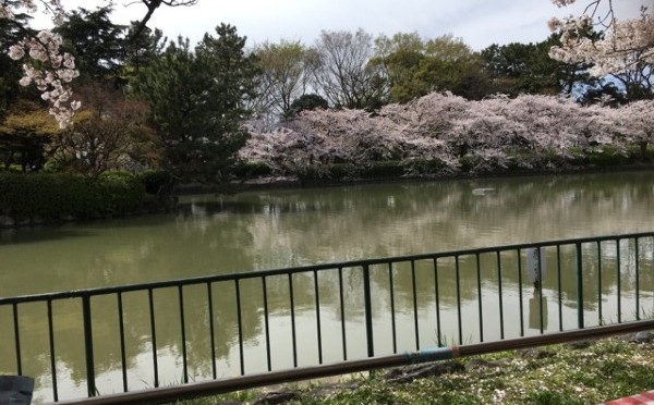 SKE48公式ブログ – →そろそろ自動販売機を見て春を感じる。